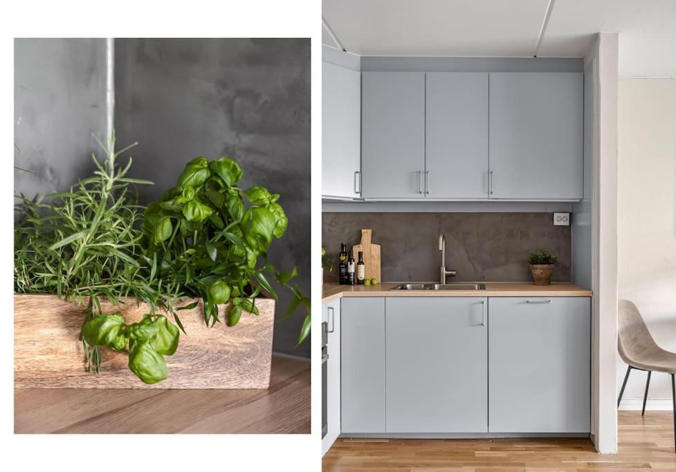 Oslo Center Apt&Central Station& Garage Parking Εξωτερικό φωτογραφία